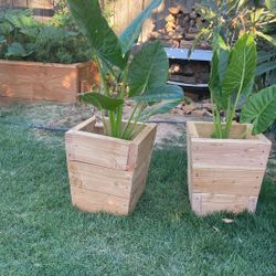 Wooden planters for flowers and trees