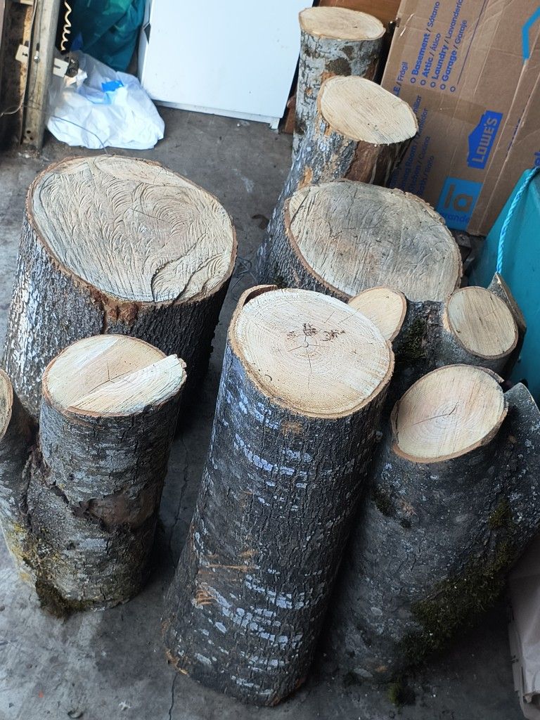 Wood Need To Dry More For Better Burning