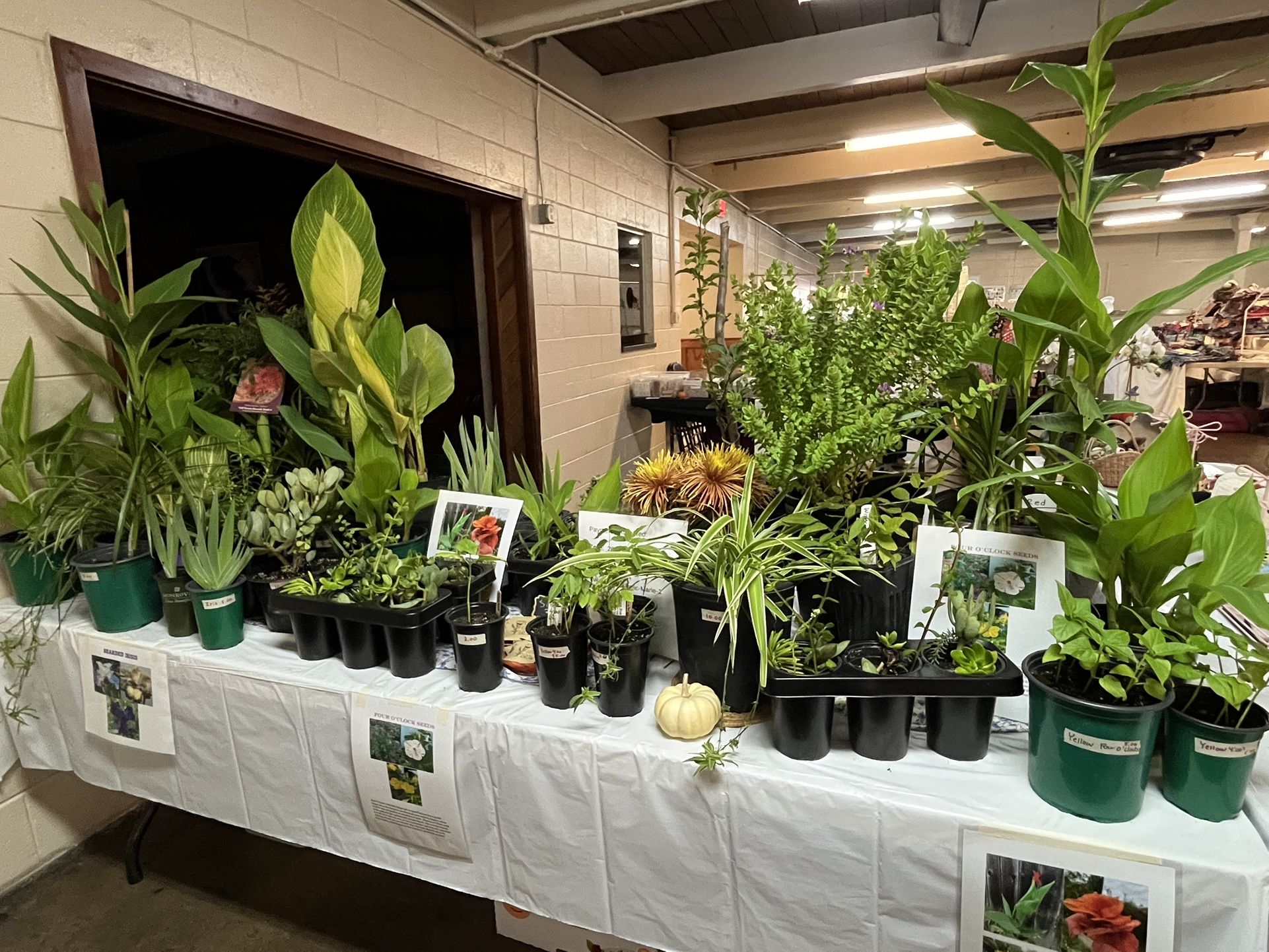 Plant Sale @ Stockton ballroom