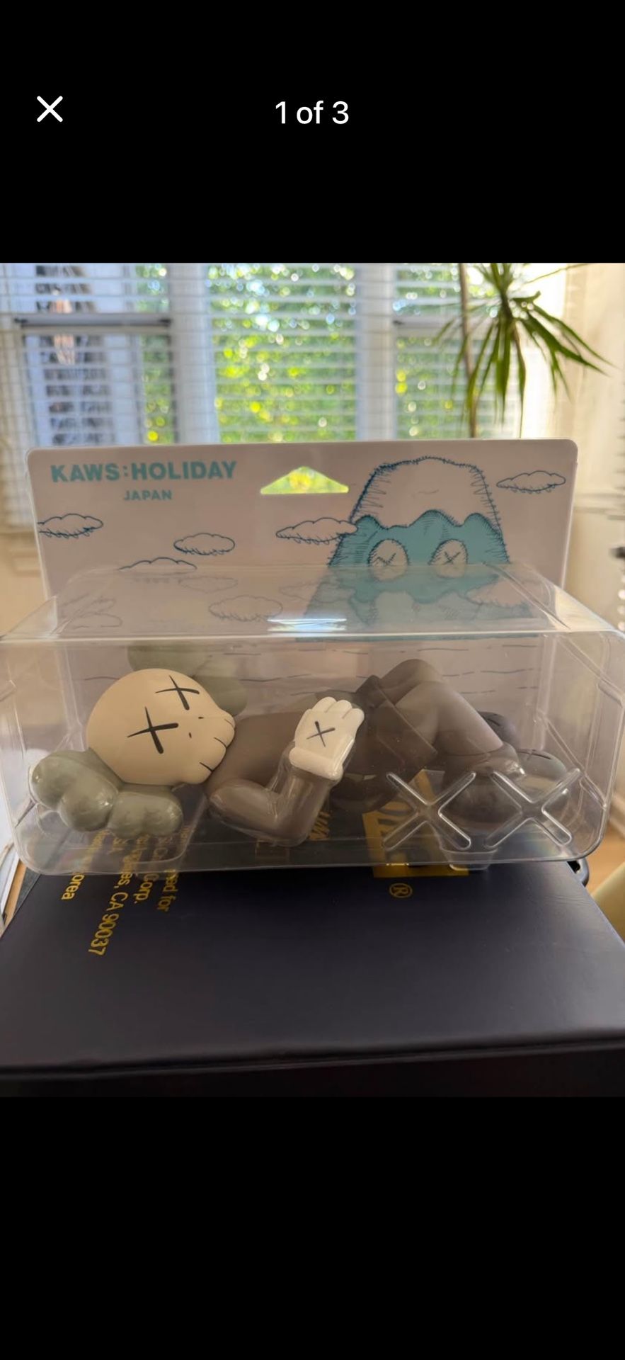 Kaws Holiday Japan 