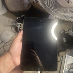 iPad Mini