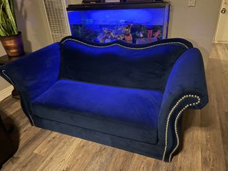 Blue Velvet Sofa 