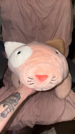 Giant Pink Cat