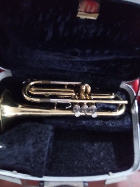Instrument