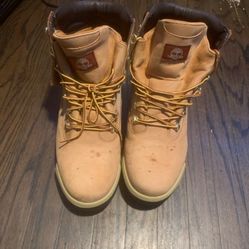 Timberland 6-Inch Premium Waterproof Boots
