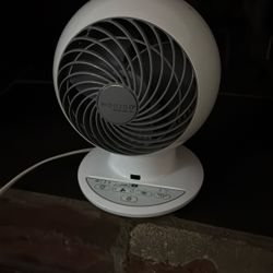 Wazoo Personal Sizes Fan 