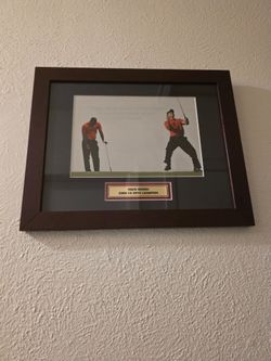 Tiger Woods 2008 US