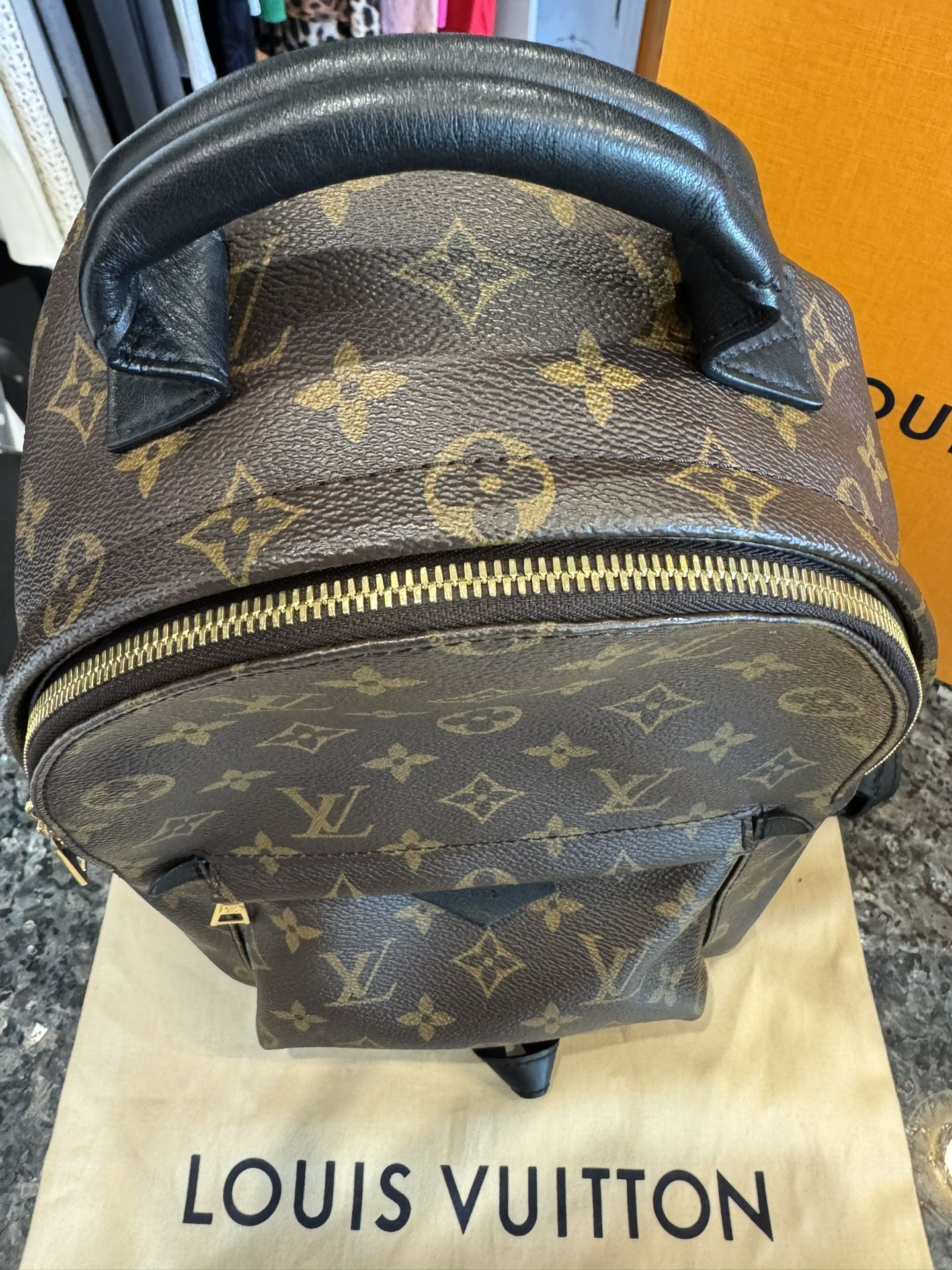 Louis Vuitton Palm Springs Monogram (Updated Zipper) PM QUICK REVIEW | Louis Vuitton Palm Springs PM & Why it main image 2