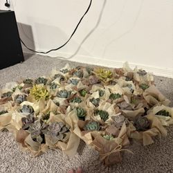 BABYSHOWER / PARTY / FAVORS