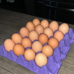 Eggs