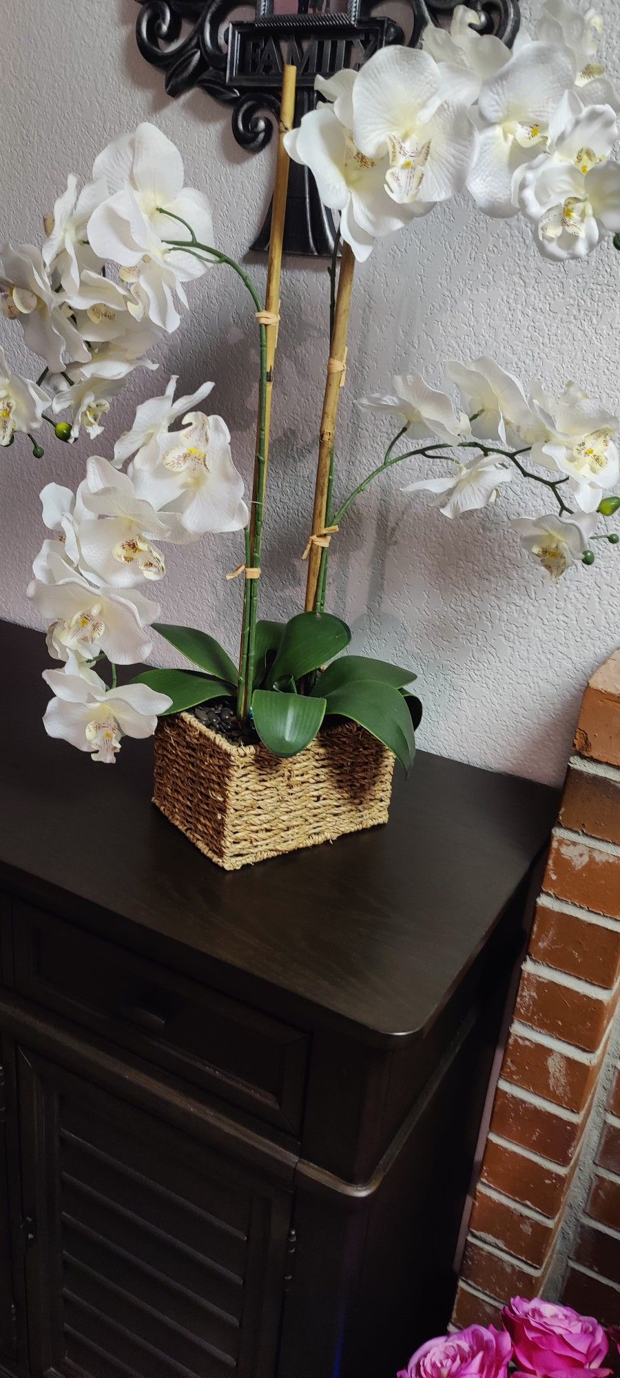 Gorgeous Orchid 