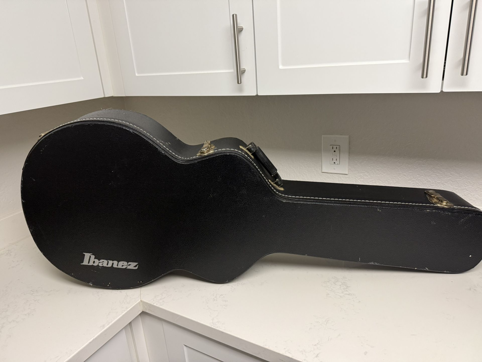 Ibanez Guitar Case