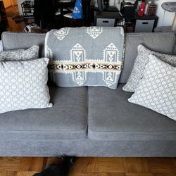 Loveseat Sofa/Pullout Bed