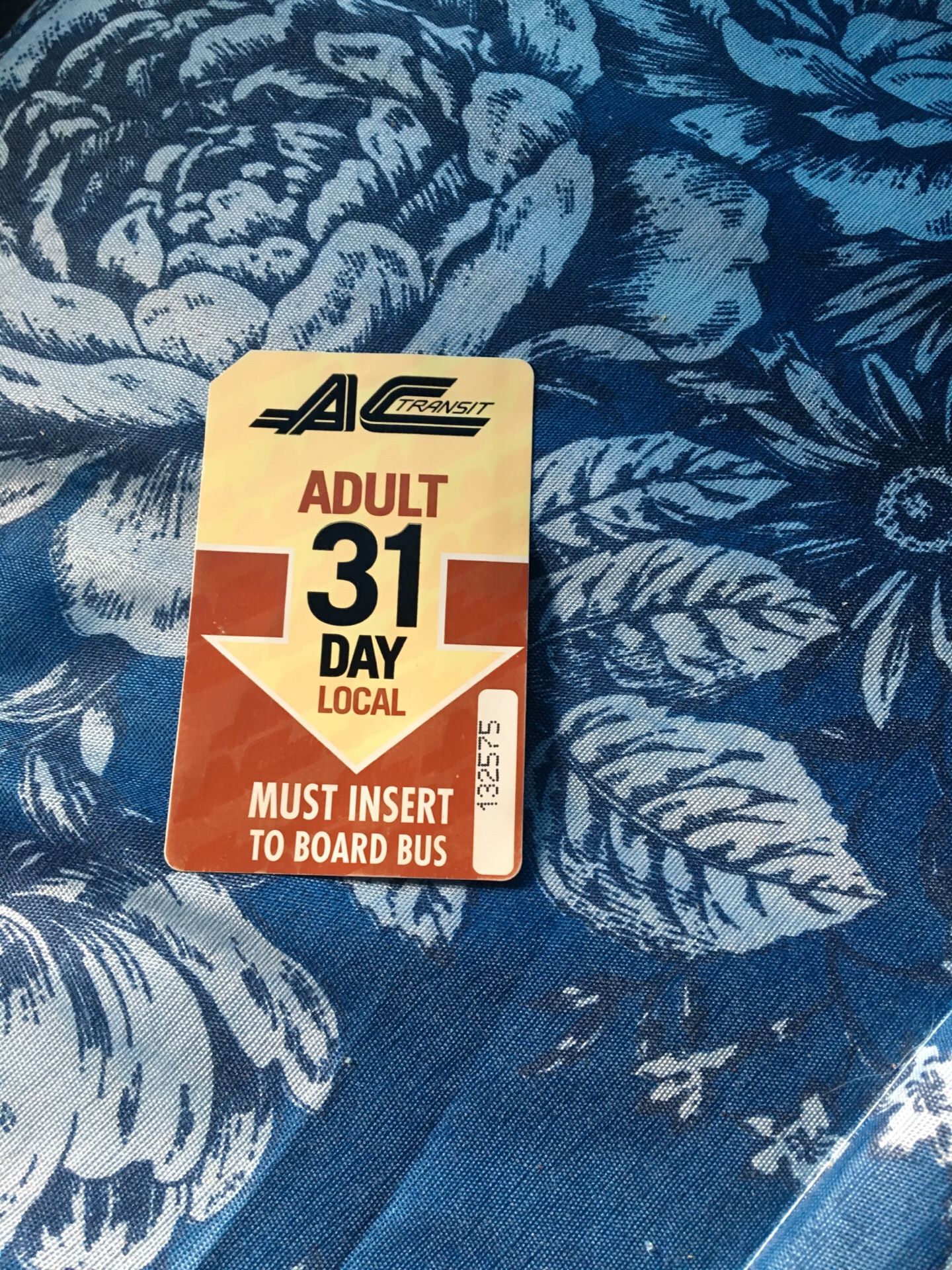 Ac transit Adult bus pass