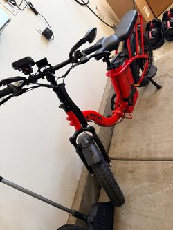 Rattan Electric bike