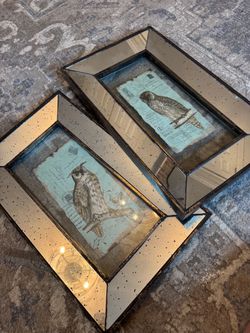 Glass and mirror Owl  wall art set