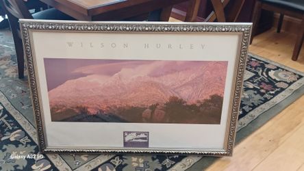 Wilson Hurley framed artwork
