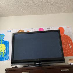 Panasonic 50in  Flat Screen
