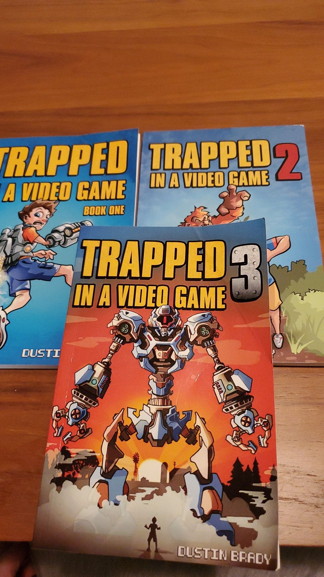 Trapped in a video game Book series