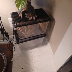 Reptile Aquarium [Bearded Dragon Accessories]