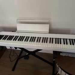 Casio Privia PX-S1100 