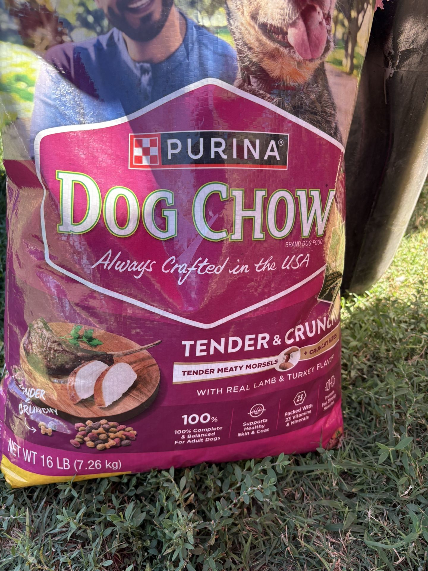 dog food