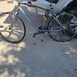 Giant Mountain Bike 26 In Written By Senior