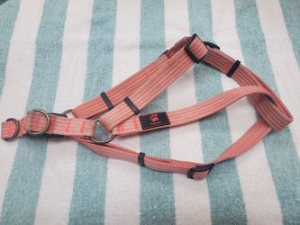 Top Paw Harness