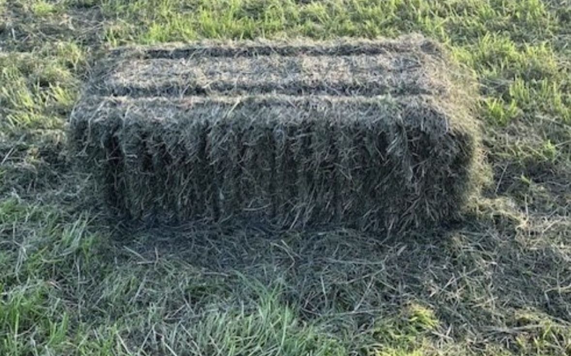 $10 Square Bales Horse Quality! Delivery!