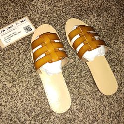 *NEW*Camel  Flat Sandal