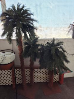 3 Set Of Palm Tree With Light 6 Tall