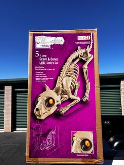 Home Accents Skelly Cat Halloween Decoration