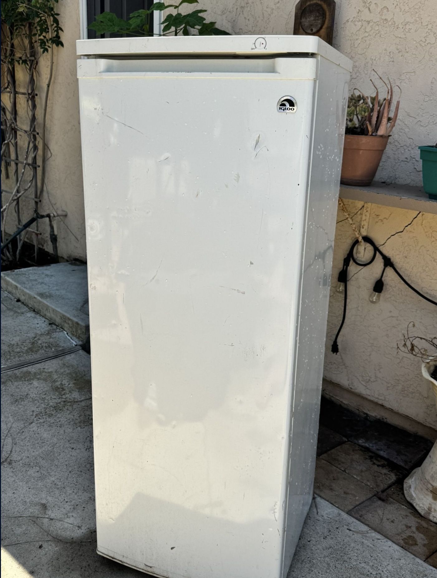 Stand Up Freezer