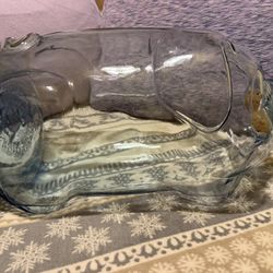 5 Gallon Pig Glass Jar