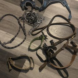 Dog Collar, Harness, Muzzle, Leather Leash 