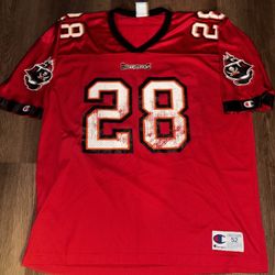 Vintage TB Buccaneers Warwick Dunn Jersey 