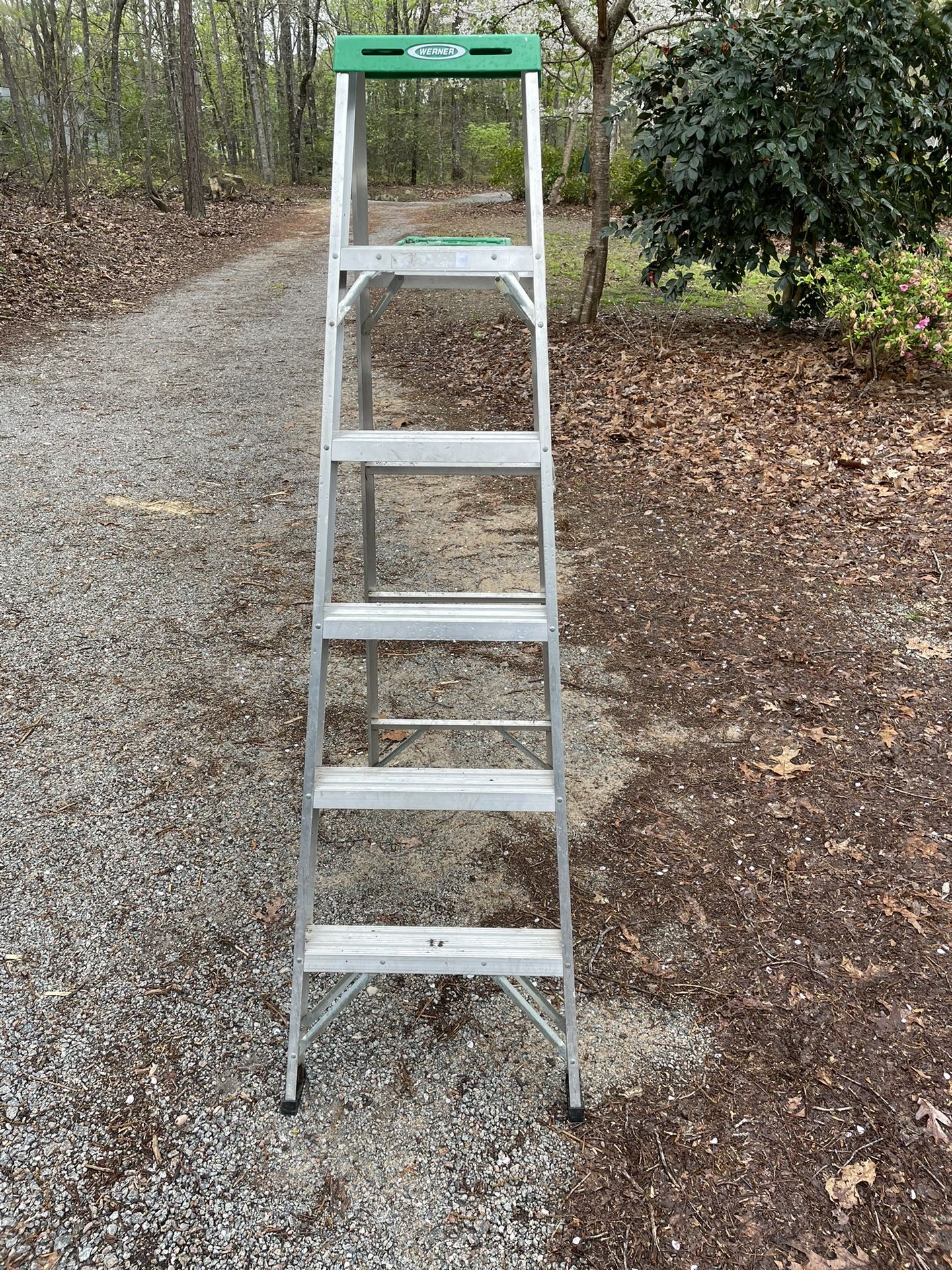 Six Ft Werner Alum Ladder 