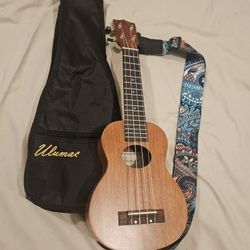 Ukulele 