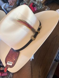 Straw Cowboy Hat with Feather