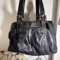 Coach Pleated Leather 