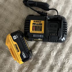 DEWALT 20-V (1)-Pack Lithium-ion Battery and Charger (8 Ah) Price is $150