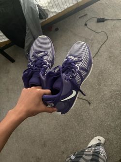 lebrons