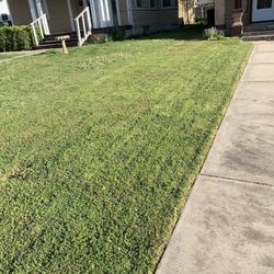 Grass Cut