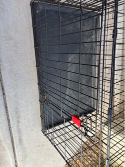 Kong medium collapsible dog crate