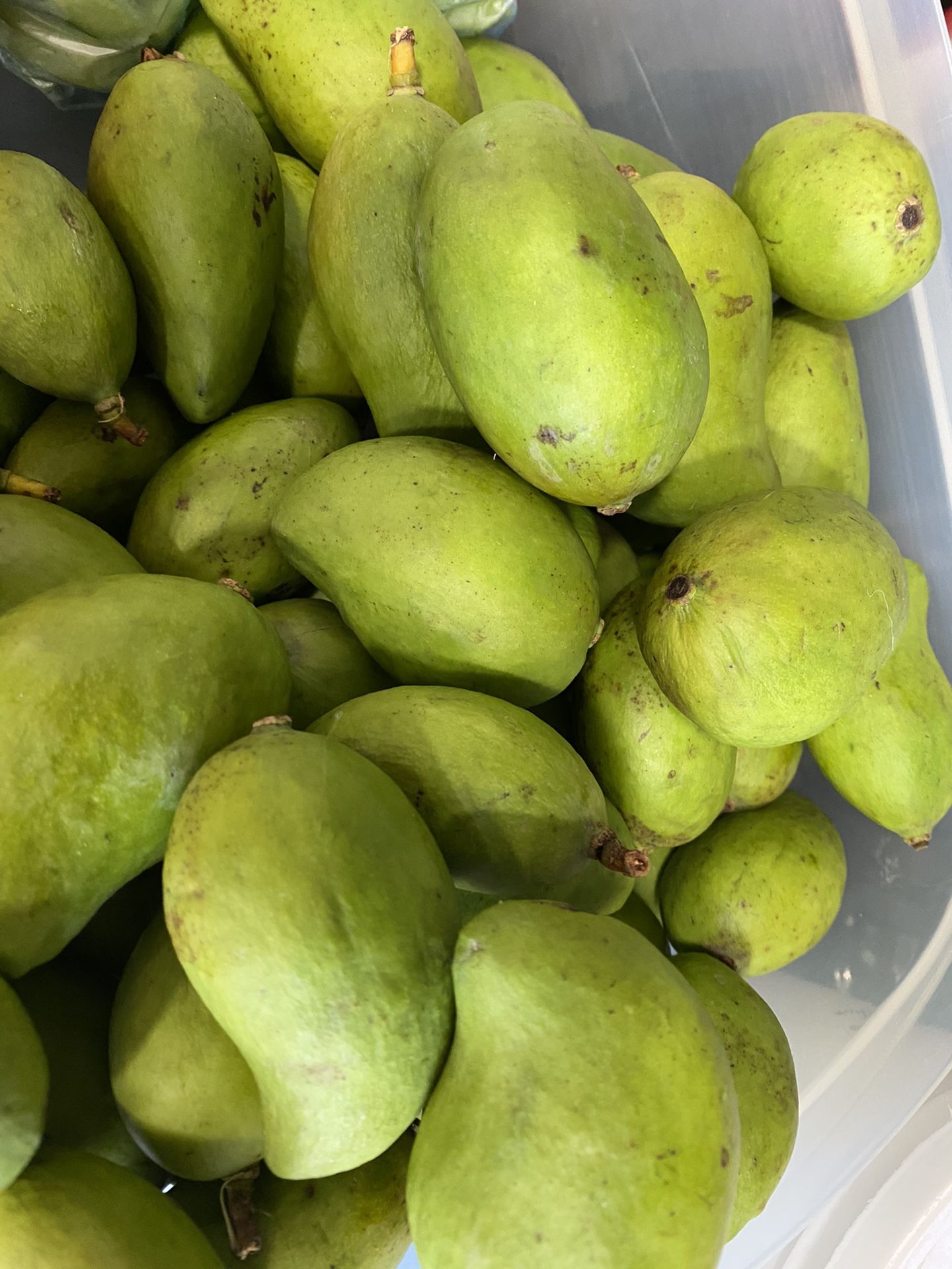 Mango Verde Tierno