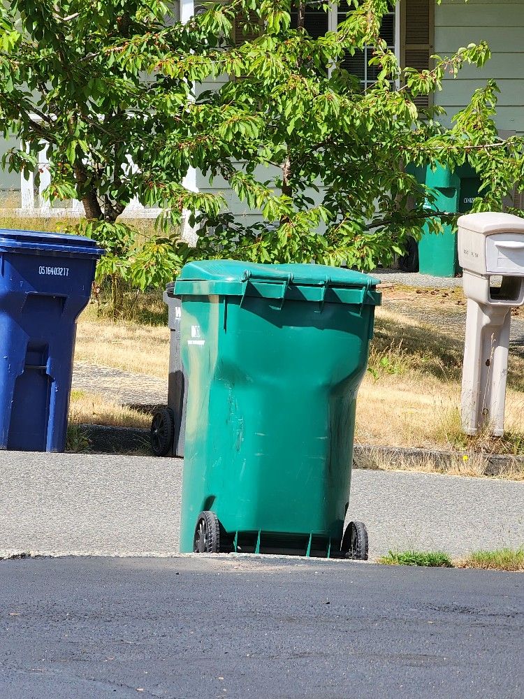 Dirt Inside Yard Waste Bin