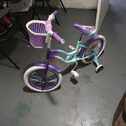 Little Girls Bike 