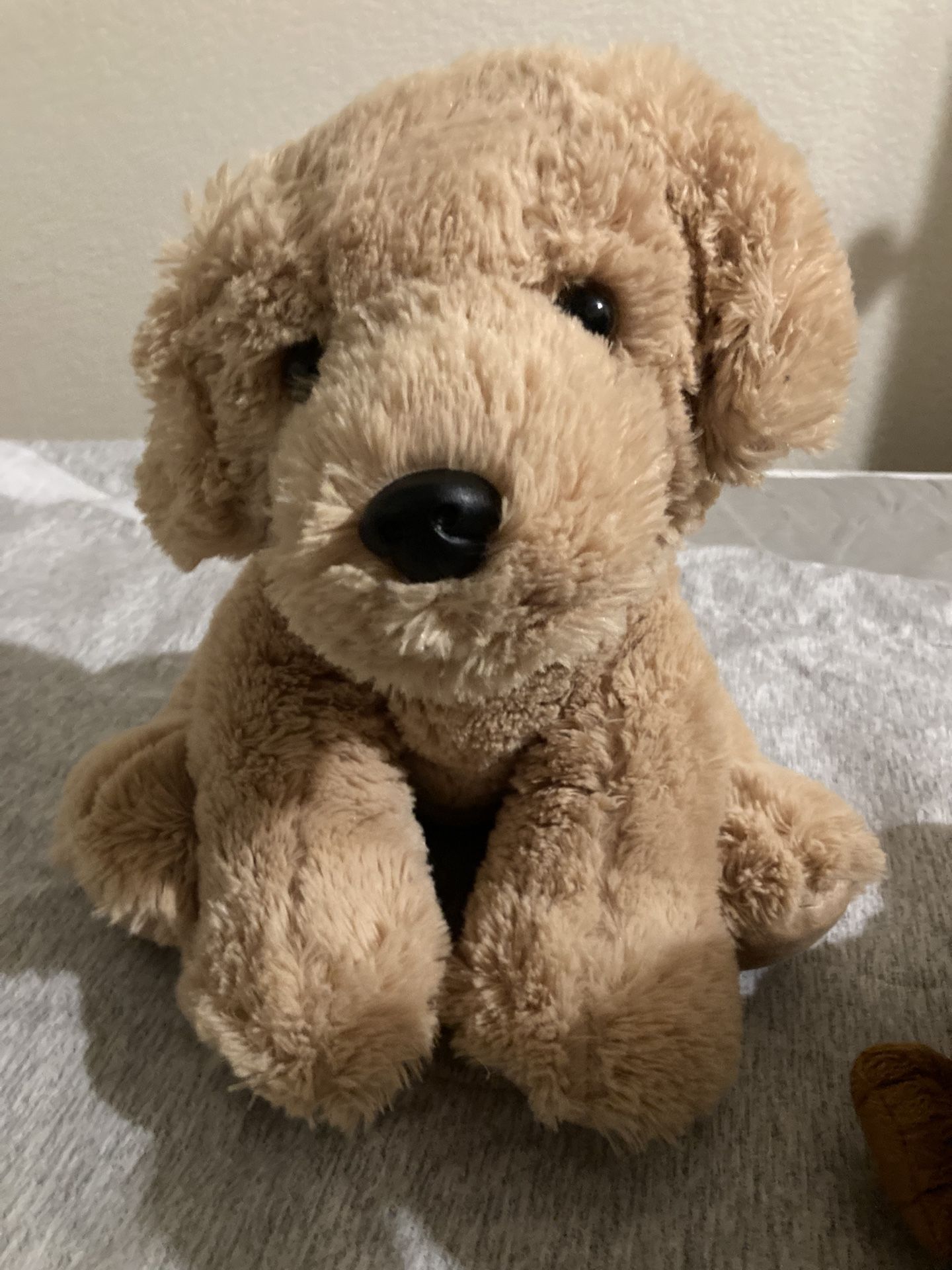 Dog Stuffed Animal