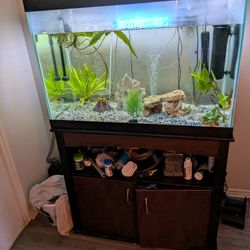 75 Gallon Fish Tank