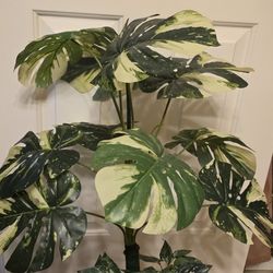 Artificial Mostera Deliciosa 36" By 24" Inch 